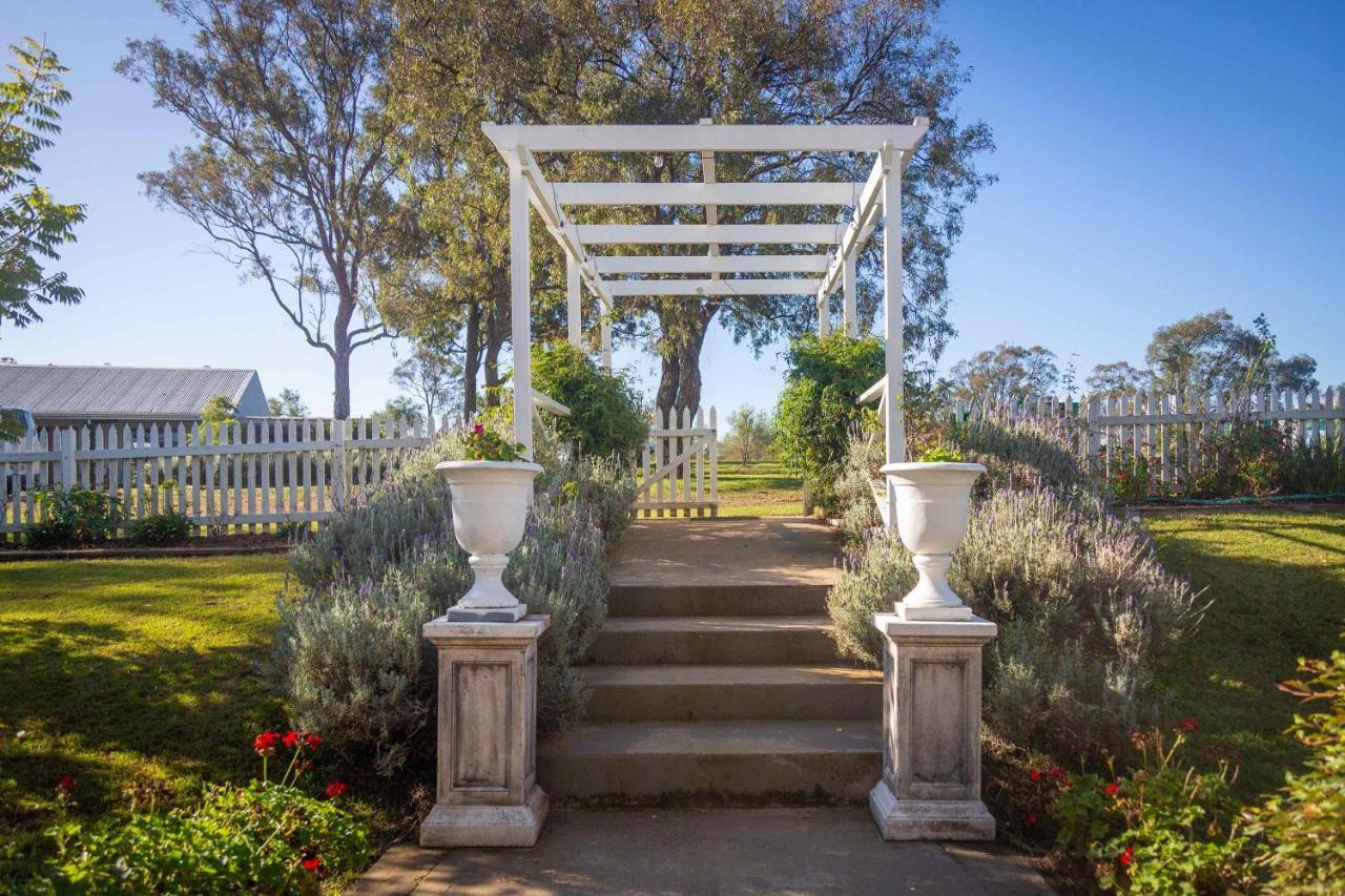 Claremont Manor Βίλα Lovedale Εξωτερικό φωτογραφία